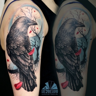 🔥 Горячие фото, портфолио модели  #36188  