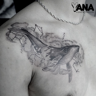 🔥 Горячие фото, портфолио модели  #36195  