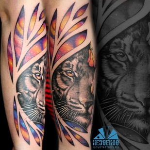 🔥 Горячие фото, портфолио модели  #36198  