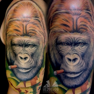 🔥 Горячие фото, портфолио модели  #36201  