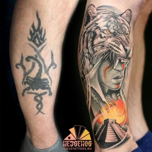 🔥 Горячие фото, портфолио модели  #36212  