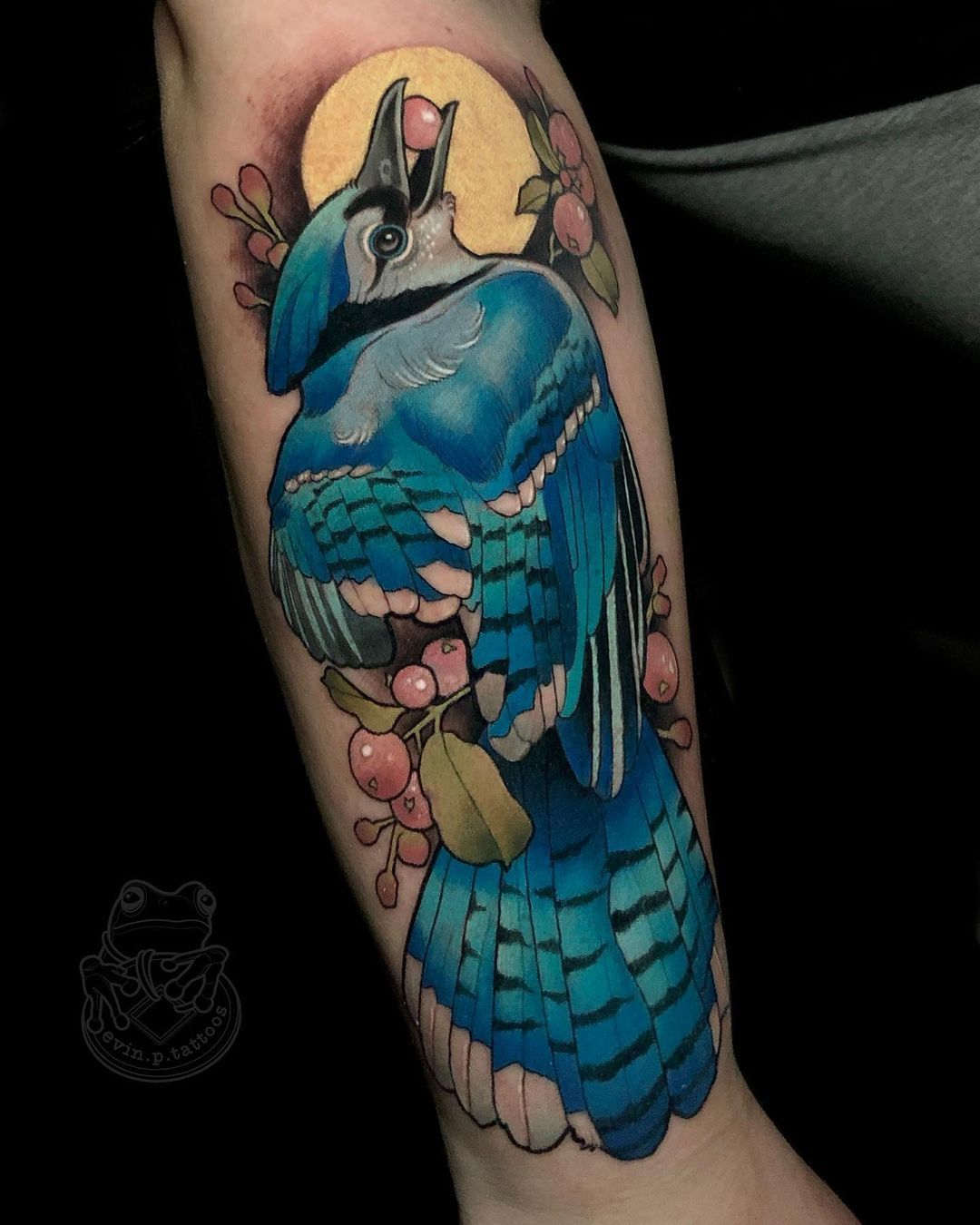 Blue Jay by Vince Villalvazo TattooNOW