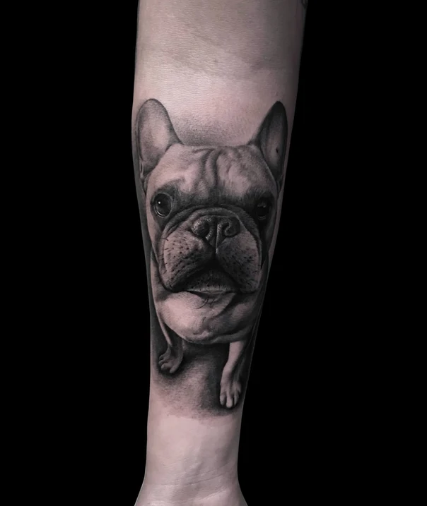 Realism Dog, French bulldog tattoo on Forearm