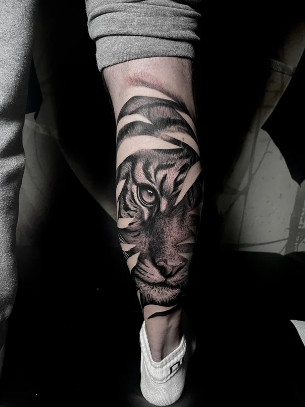 Realism Tiger tattoo on Calf