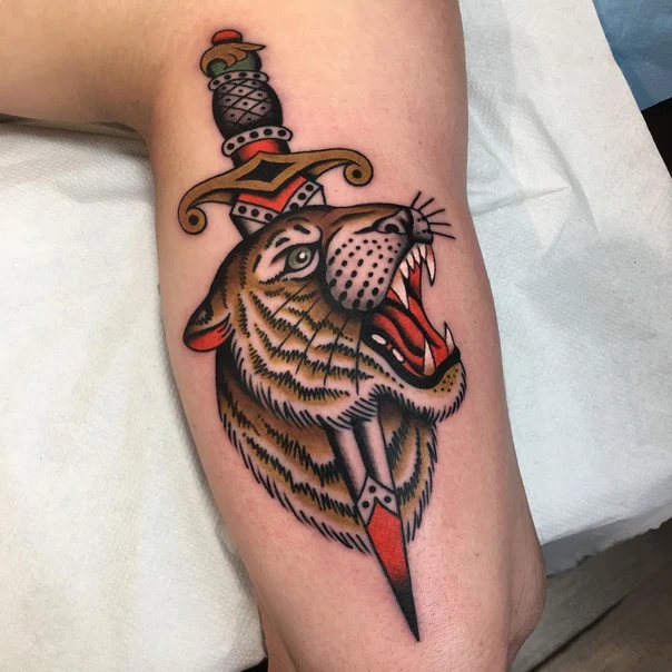 Traditional Tiger, Dagger tattoo on Forearm