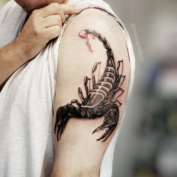 Realism Scorpion tattoo on Shoulder