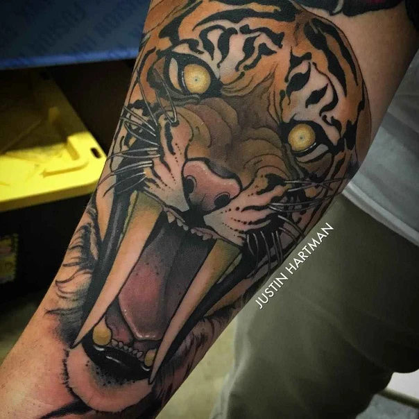 Neo-traditional Tiger, Animal tattoo on Forearm