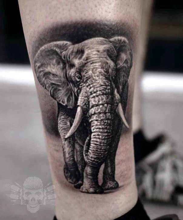 Realism Elephant tattoo on Calf