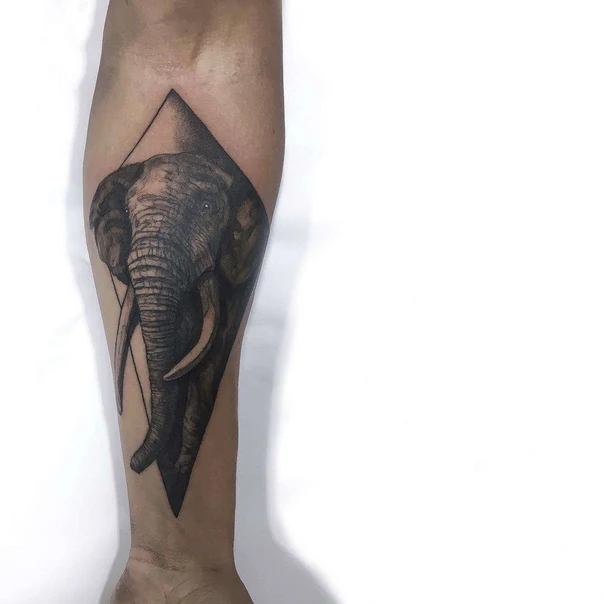 Realism Elephant tattoo on Forearm