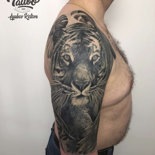 🔥 Горячие фото, портфолио модели  #21139  