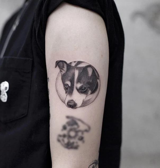 Realism Dog, Portrait tattoo on Outer arm