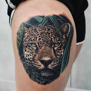 🔥 Горячие фото, портфолио модели  #31138  