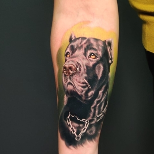 🔥 Горячие фото, портфолио модели  #36357  