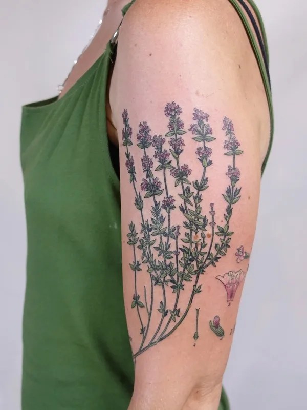 female color botanic Tatuagem em shoulder #55290 | Tatuador Ольга Некрасова