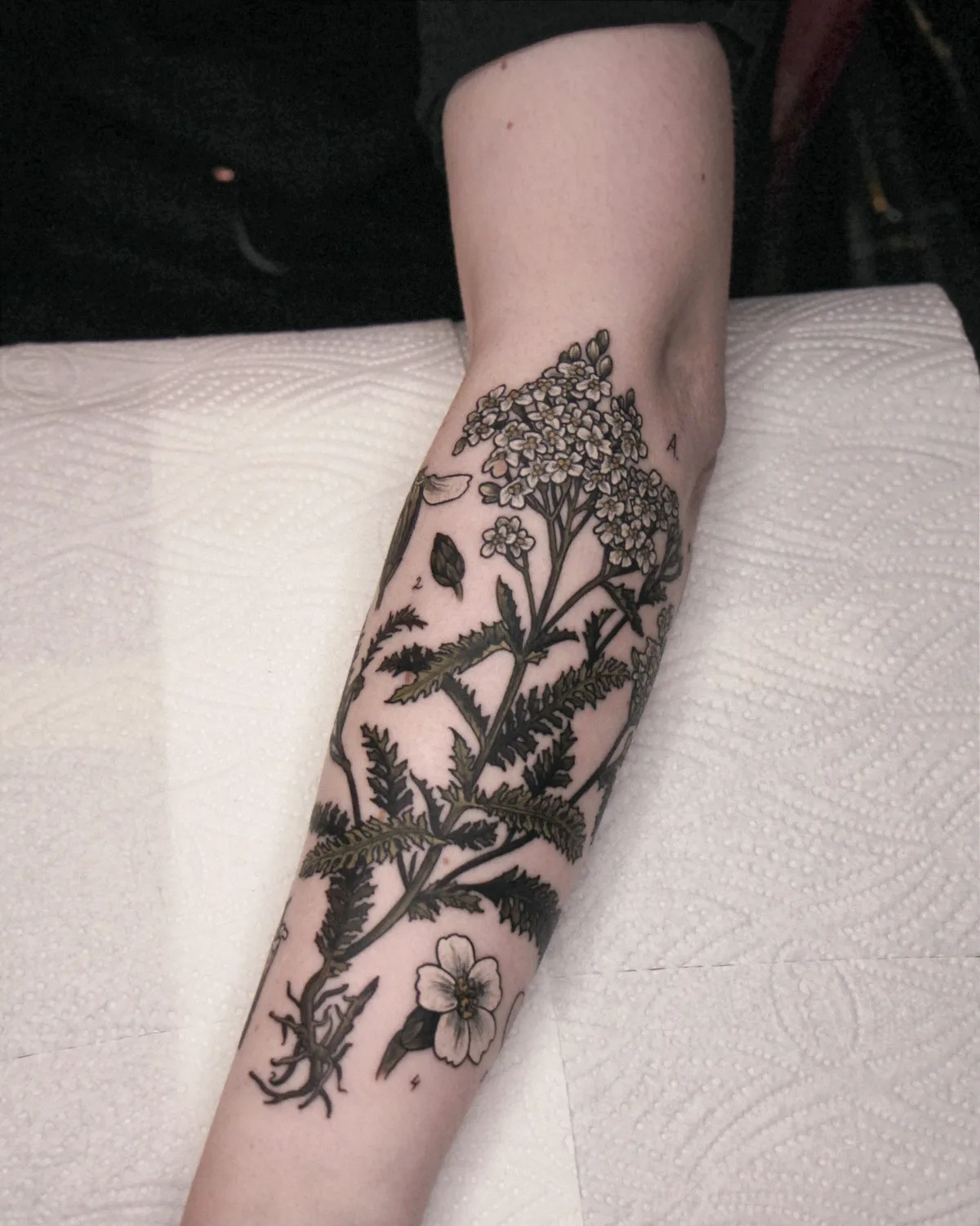 Tatuagem de plantas nas mãos do mestre Olga Nekrasova