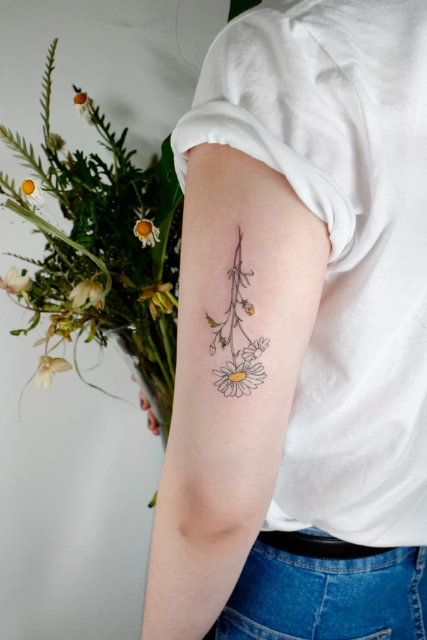 Fineline Daisy, Flower tattoo on Forearm