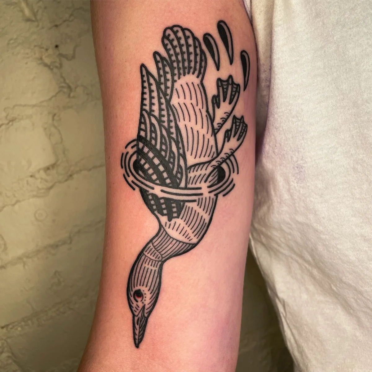 bird tattoo engraving