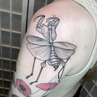 🔥 Горячие фото, портфолио модели  #55770  