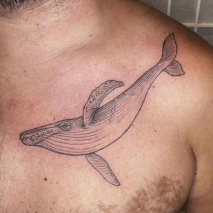 🔥 Горячие фото, портфолио модели  #55773  