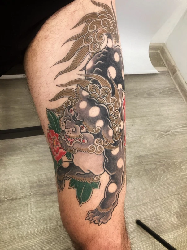 Японская Foo dog, Peony tattoo на Икра
