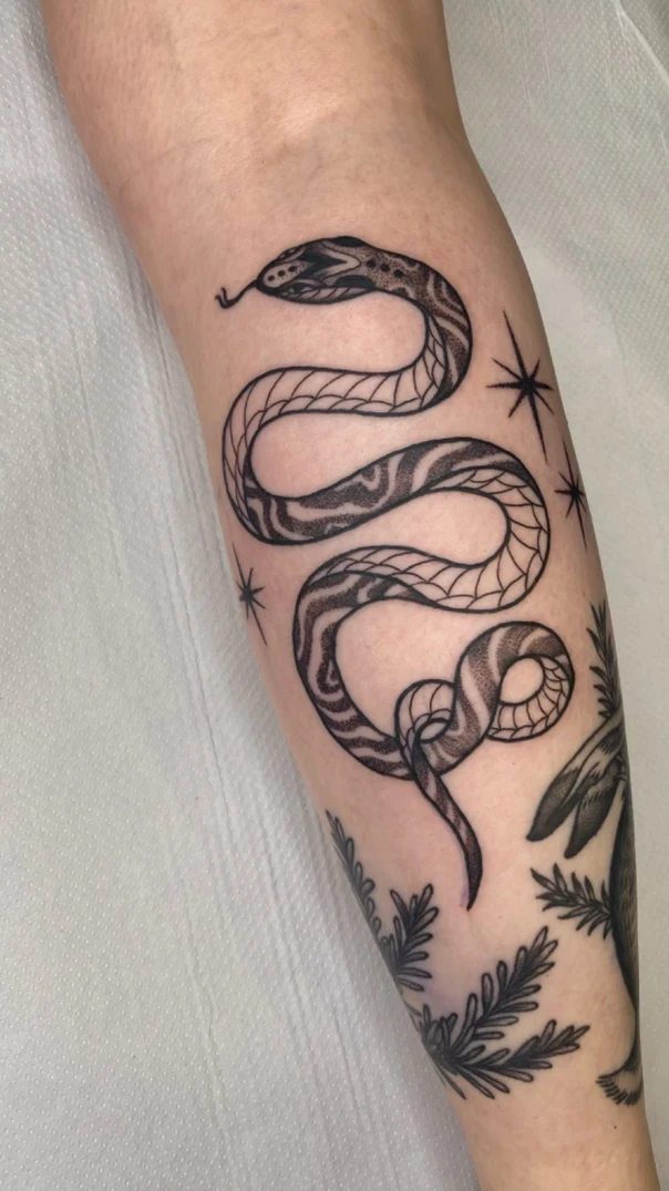 Linework Snake, Stars tattoo on Forearm