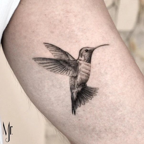 Realism Hummingbird tattoo on Forearm