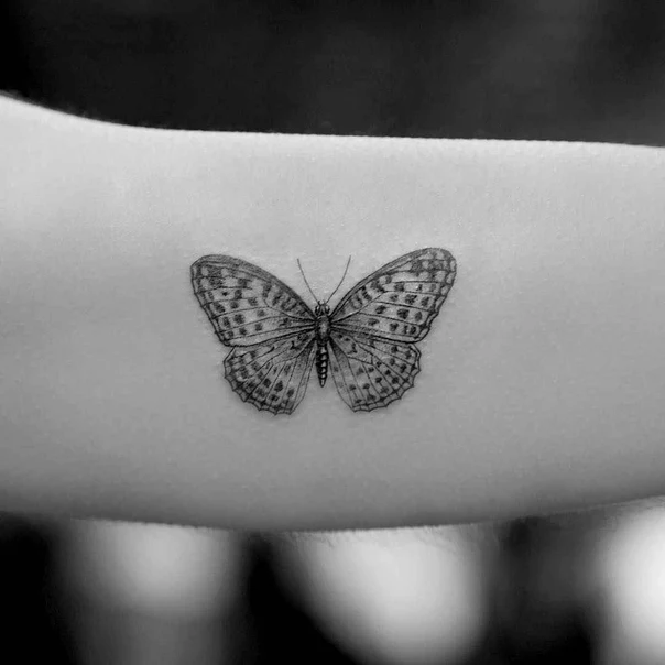 Fineline Butterfly tattoo on Forearm