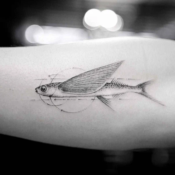 Fineline Fish, Wings tattoo on Forearm