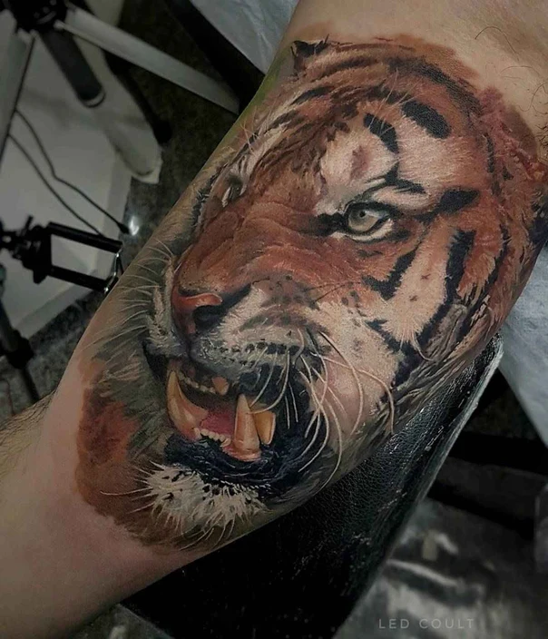 Realism Tiger tattoo on Forearm