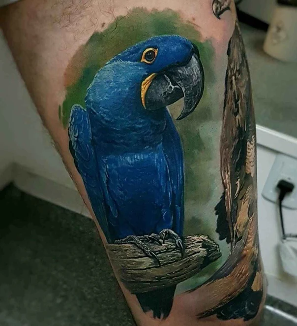 Realism Parrot, Bird tattoo on Forearm