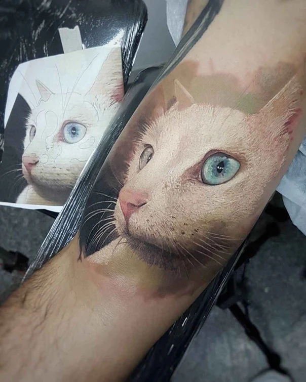 Realism Cat tattoo on Forearm