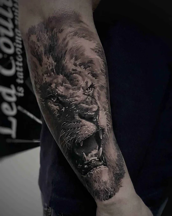Realism Lion tattoo on Forearm