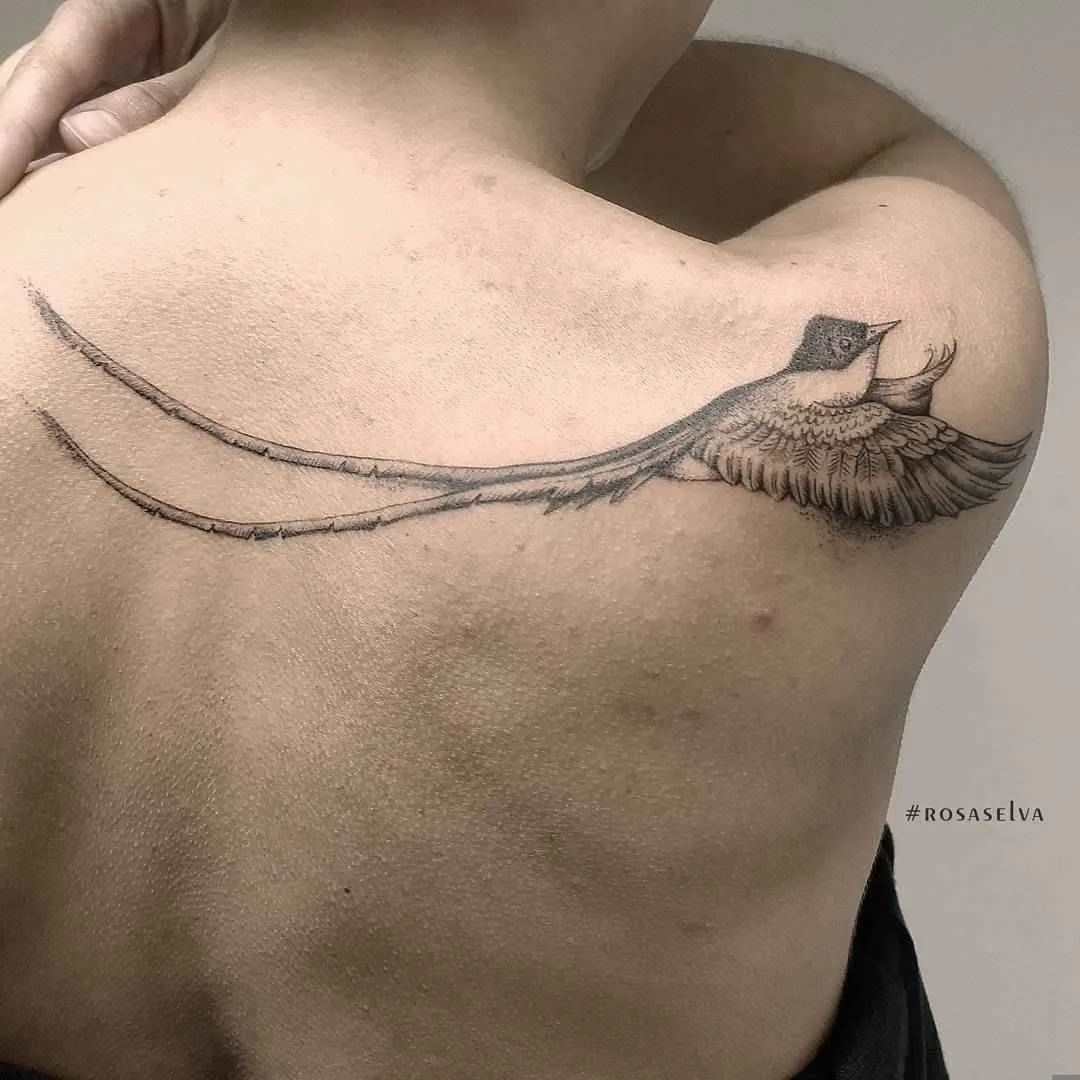 Tatuador Rosa Selva tatuagem preto e branco dotwork linework tattoo | Artista de tatuagem Rosa Selva tatuagem preto e branco dotwork linework tattoo