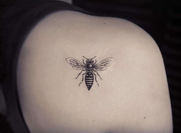 Fineline Bee tattoo on Shoulder Blade