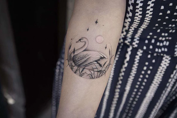 Fineline Swan, Stars tattoo on Forearm