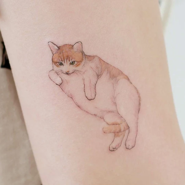 Illustrative Cat tattoo on Forearm