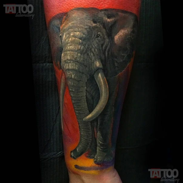 Реализм Elephant tattoo на Предплечье