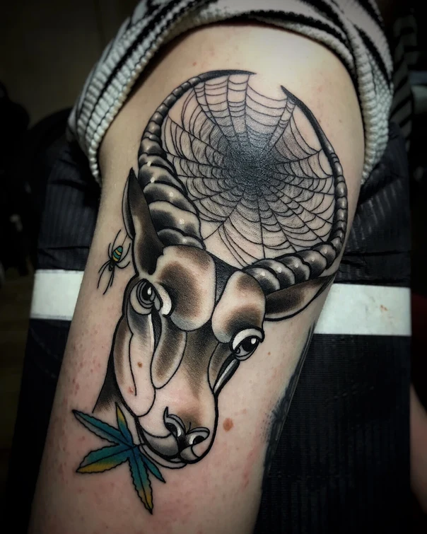 Нео-традиционная Goat, Spider tattoo на Бицепс