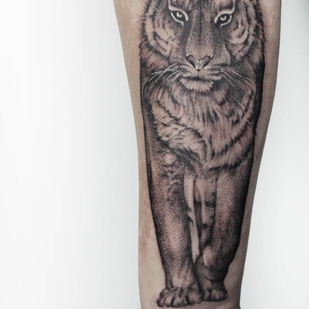 🔥 Горячие фото, портфолио модели  #31936  