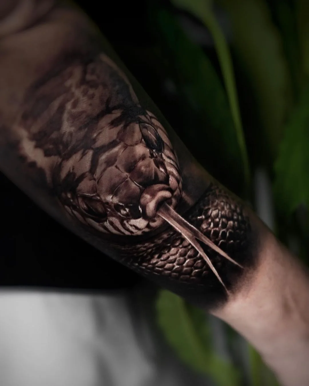 A highly detailed realistic black and grey tattoo of a snake's head with its tongue extended, showcasing precise scale texture and a slit pupil.