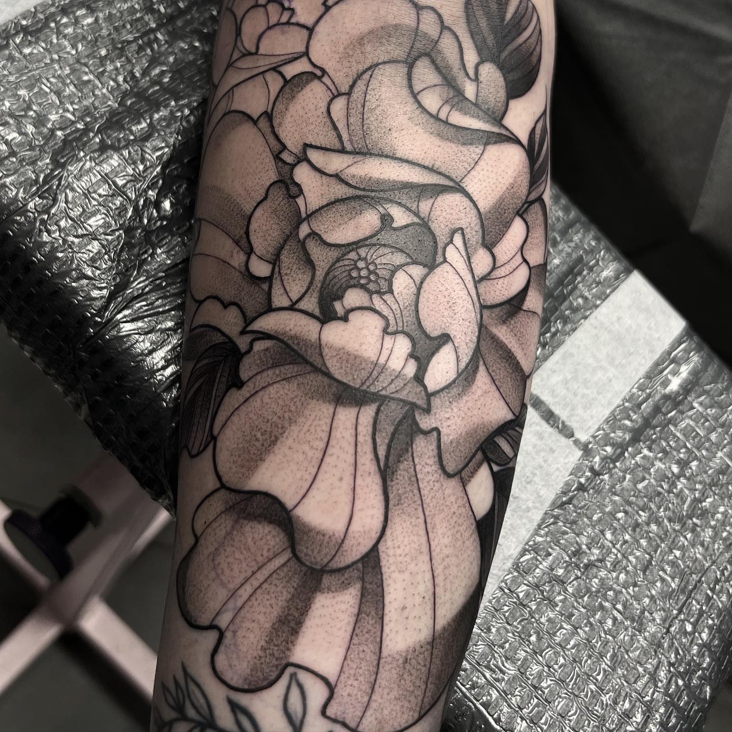 Sara Stigmata