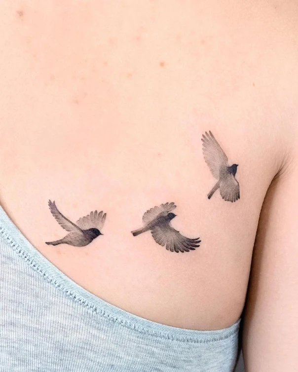 Fineline Birds tattoo on Shoulder Blade