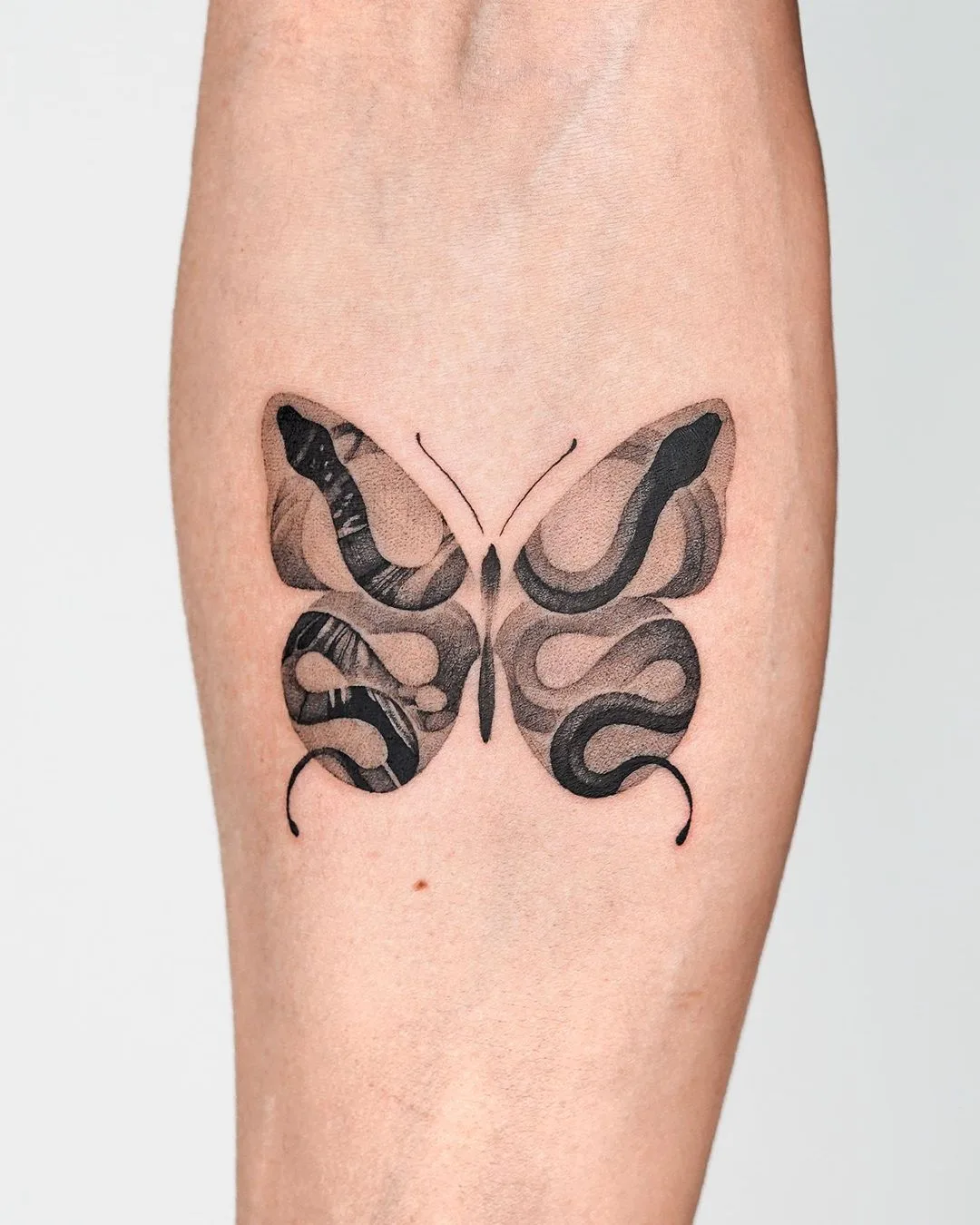 @choiyun_tattoo 的蝴蝶与蛇渐变纹身