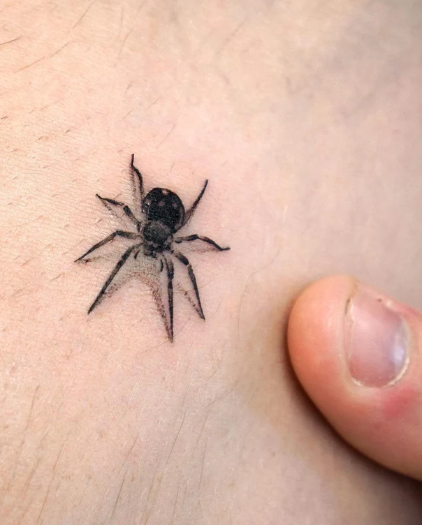 Blackwork Spider tattoo on Chest
