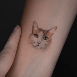 🔥 Горячие фото, портфолио модели  #57114  