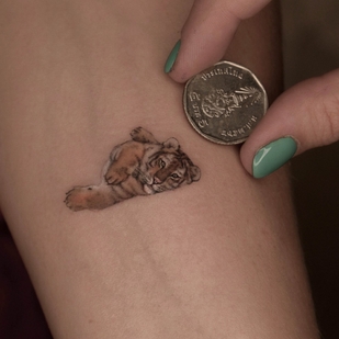 🔥 Горячие фото, портфолио модели  #57113  