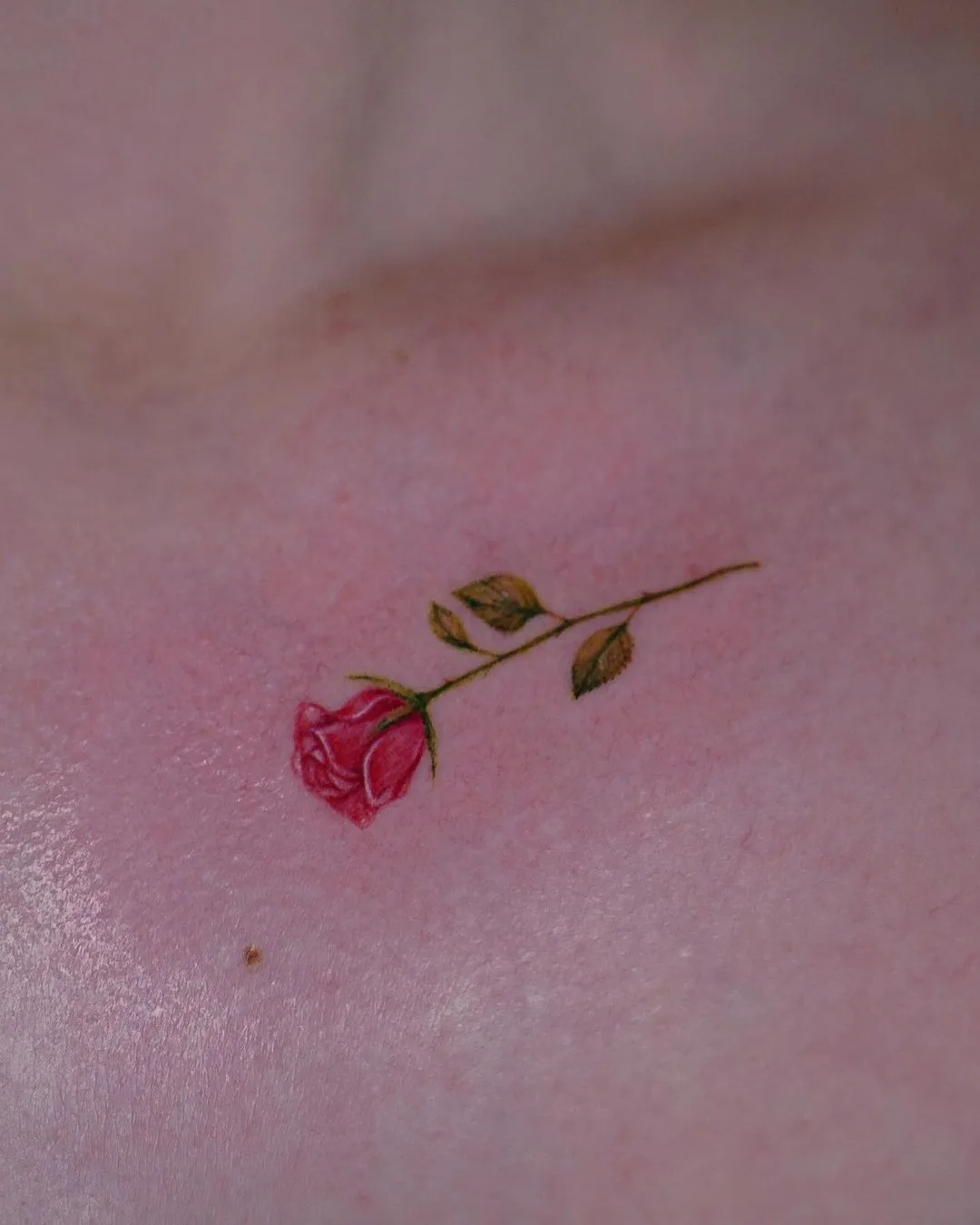 Ein zartes, realistisches Rosen-Tattoo mit feinen Linien und lebhaften Farben auf der Brust platziert.