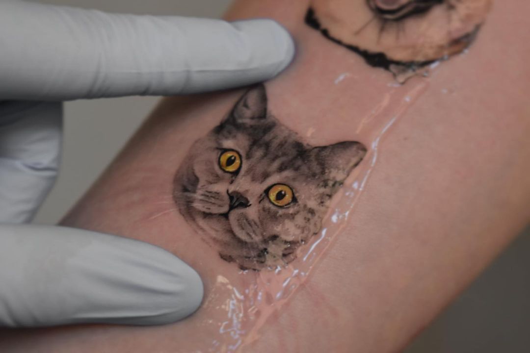 Портрет кота татуировка от мастера из студии Lunar tattoo Екатерины
