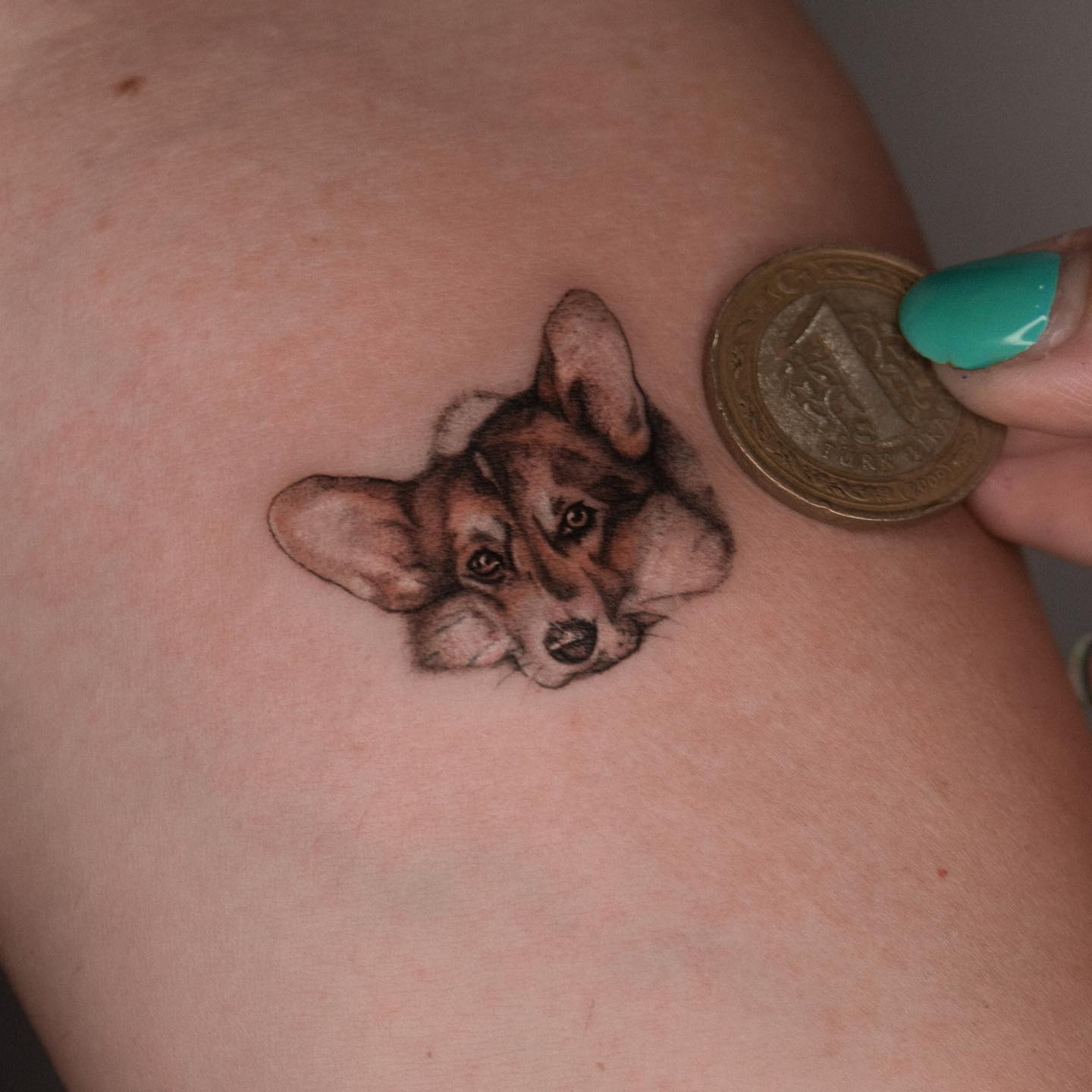 Маленькая тату с собакой в Питере от мастера Екатерины из студии Lunar tattoo