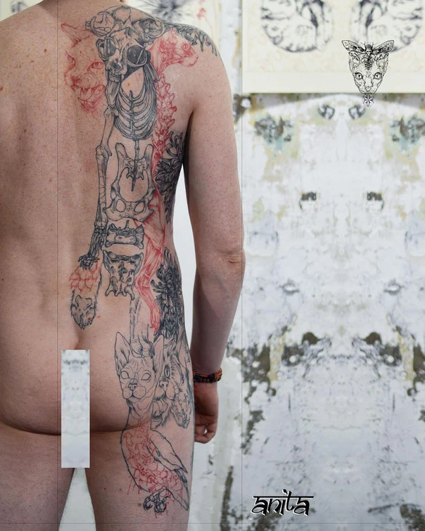 Sketch Skeleton, Cat tattoo on Full Back